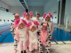 Schweizer Vereinsmeisterschaft: SVSW-Teams in Sursee gefordert