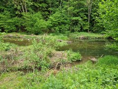 Galgentobel-Abendwanderung: Naturerlebnis in Wittenbach