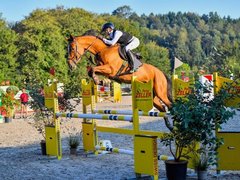 OKV Coupe Final 2026 kommt nach Wittenbach