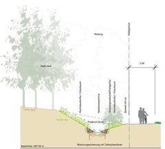 Der Bruggwaldparkbach erhält ein neues Gesicht