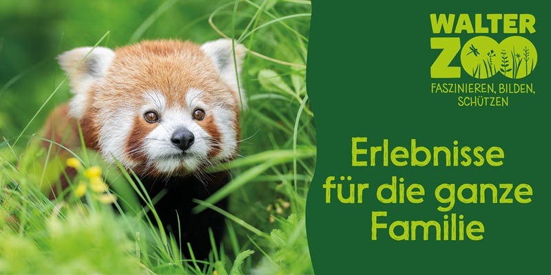 Naturerlebnisse und einzigartige Tierbegegnungen im Walter Zoo in Gossau!