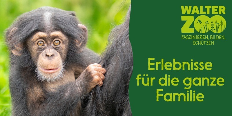 Walter Zoo - Erlebnisse für die ganze Familie
